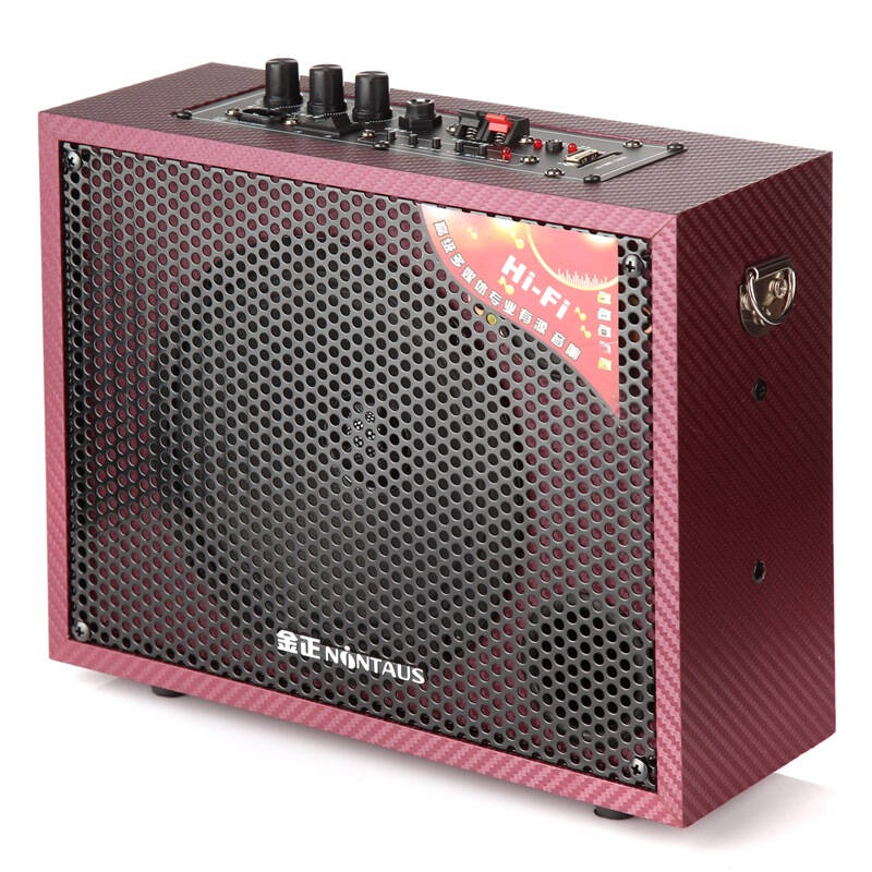 金正(nintaus) sm-916 多媒体功能 便携式插卡户外卡拉ok 有源音响