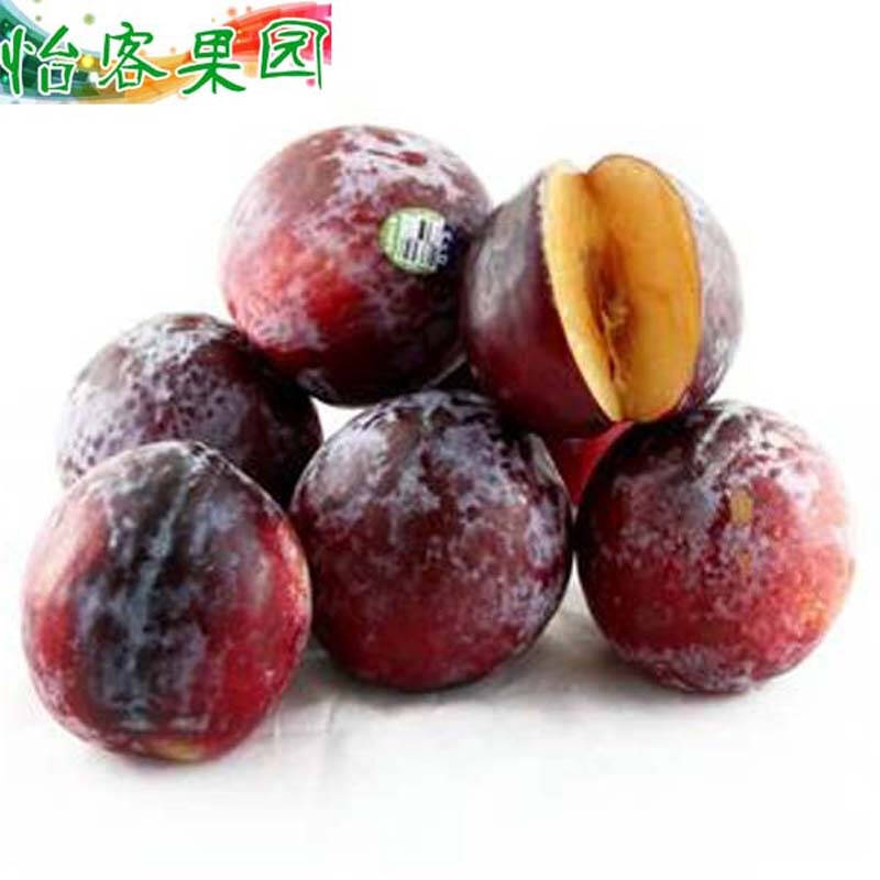 恐龙蛋 美国进口恐龙蛋1个 布林李子 单果约140-160克 进口水果