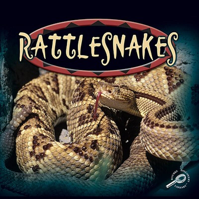 【预订】rattlesnakes