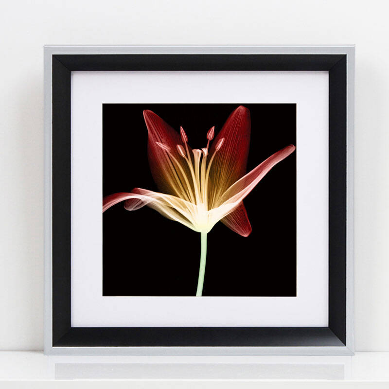 优柯 时尚透明花单联有框画 小银色边框 j款 55*55cm