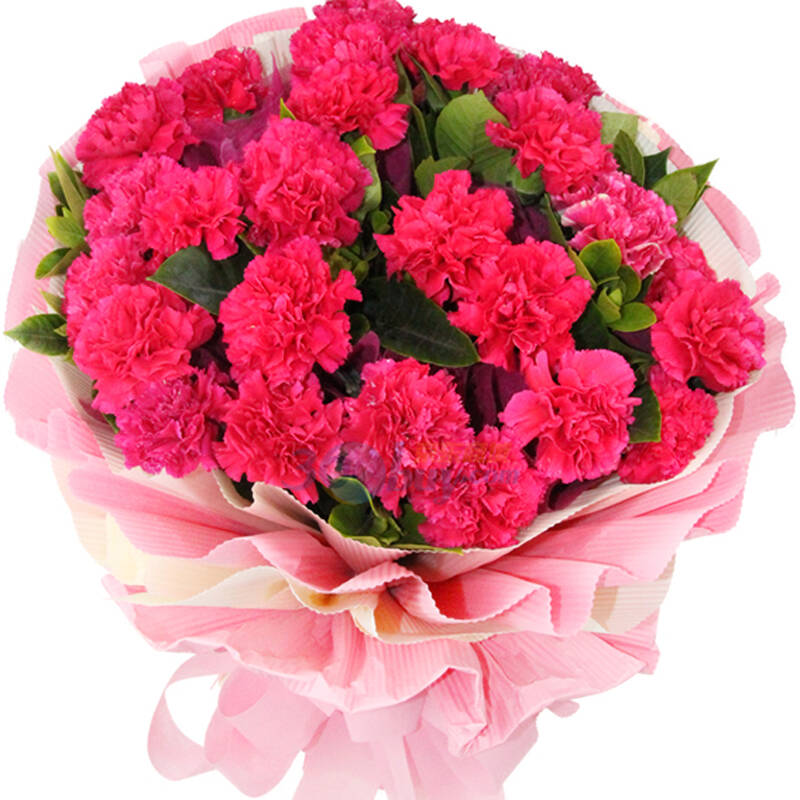 思念物语 鲜花速递 28枝红色康乃馨全国快递 北京上海深圳成都重庆