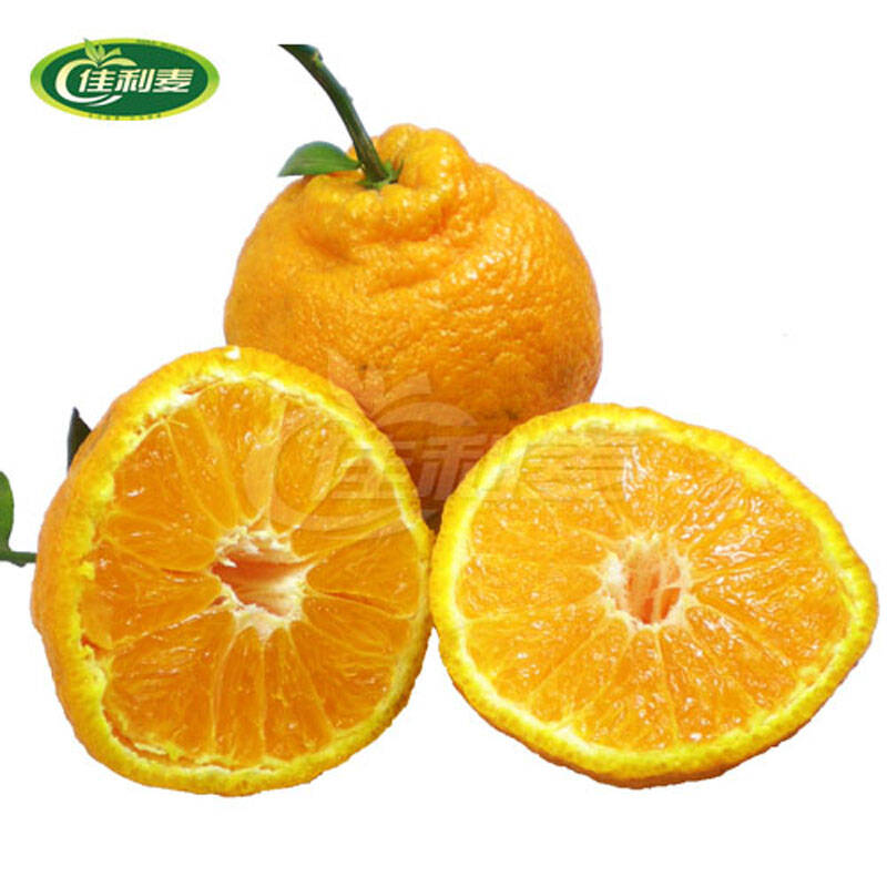佳利麦鲜果-四川特产不知火柑1个装 丑柑 柑橘子 柑桔子 新鲜水果