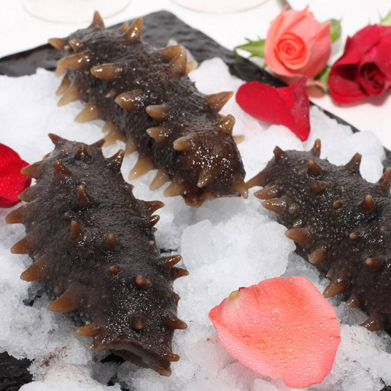 威宝牌 7-9年野生大连辽参 御品淡干海参500克60-100头 礼盒装