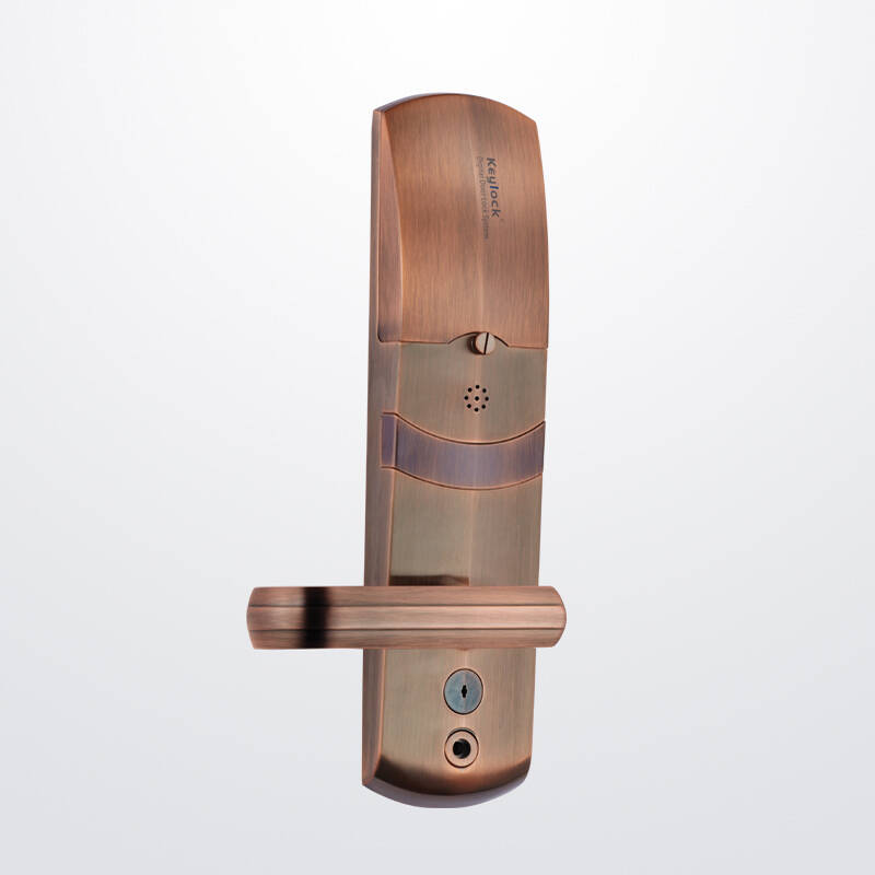 【官方总店 厂家直销】第吉尔keylock指纹锁门锁家用防