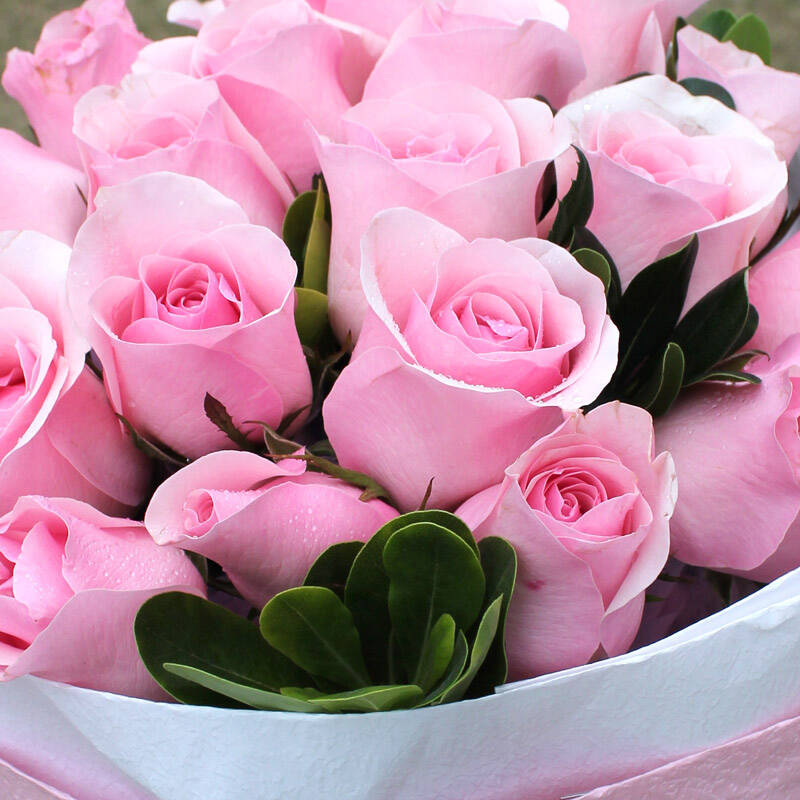 鲜花速递19朵香槟玫瑰花束送女朋友生日礼物北京上海广州深圳成都天津