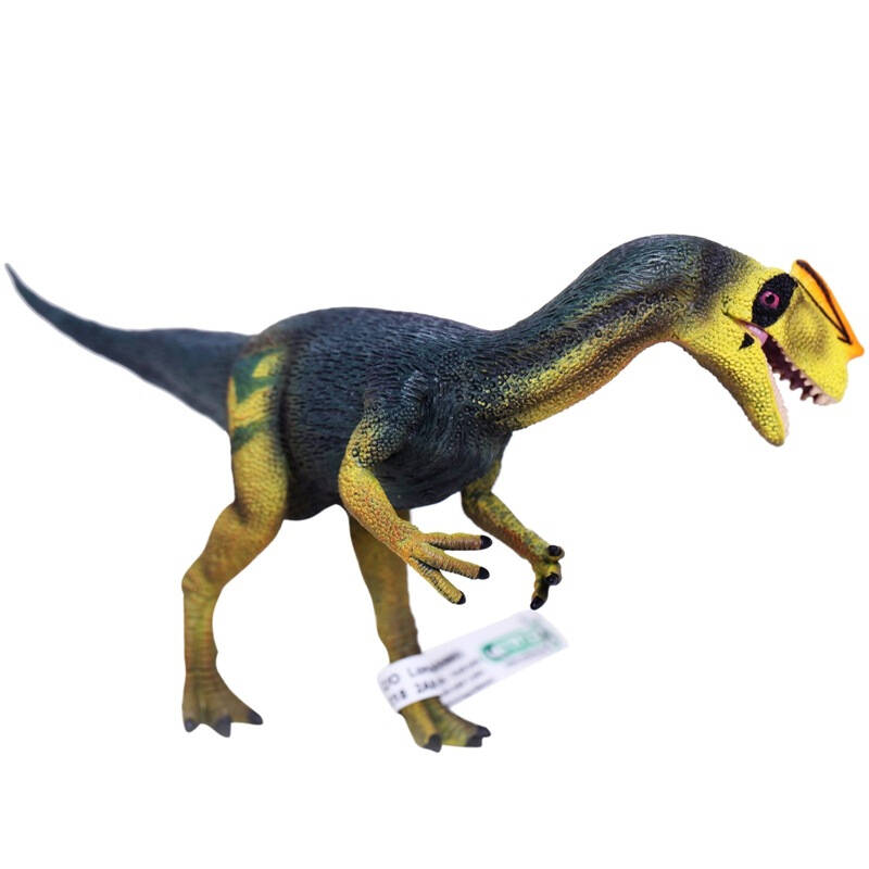 collecta 仿真动物模型 恐龙系列-原角鼻龙 88504
