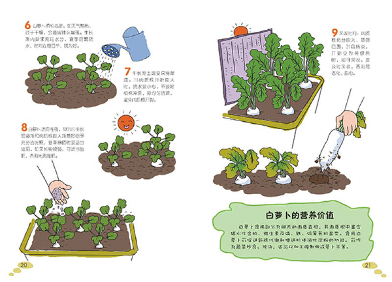 蔬菜种植过程简笔画图片