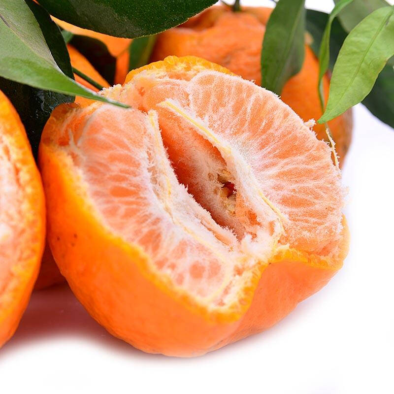 【沱沱工社】[基地直供]岩溪晚芦 约3斤/份(仅