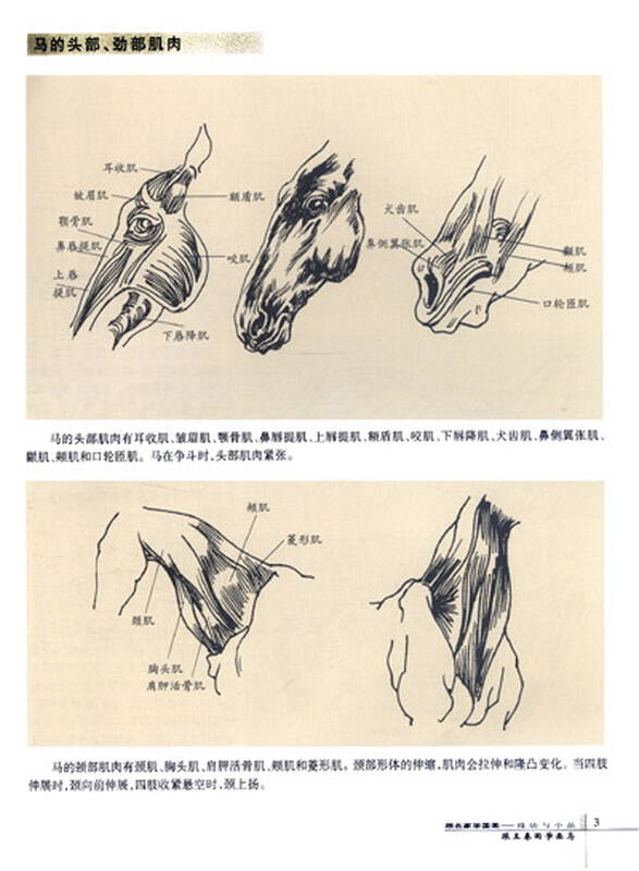 跟名家学国画技·法与小品:跟王春雨学画马