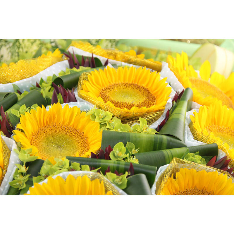 鲜花速递 生日礼物 10枝向日葵鲜花花束 全国鲜花店同城配送 北京 f3