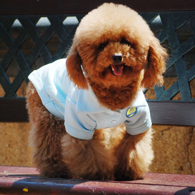 宾狗 宠物经典款polo衫浅蓝色xl