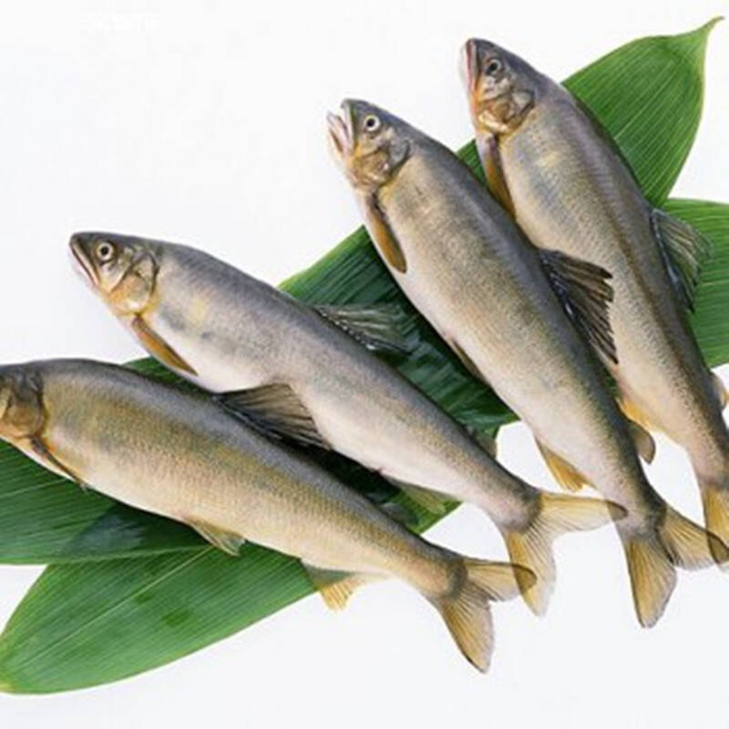 【宅鲜配】新鲜 溪水之王 香鱼 500g/份