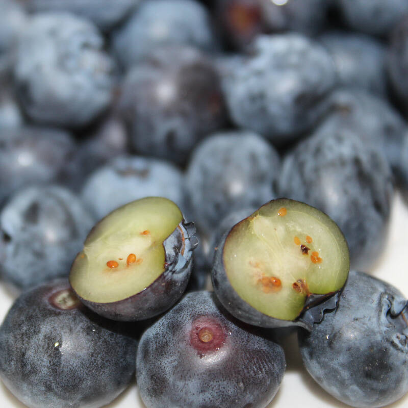 沃林蓝莓(125g*4盒)新鲜采摘 成渝地区