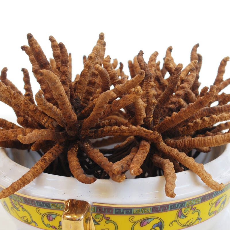 三江源牌冬虫夏草散装王级1g