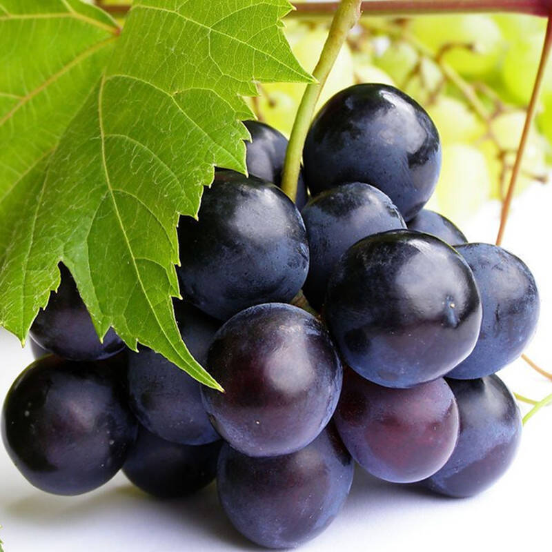 马陆葡萄花色拼装5kg精品礼盒/马陆葡萄/惠娟农庄