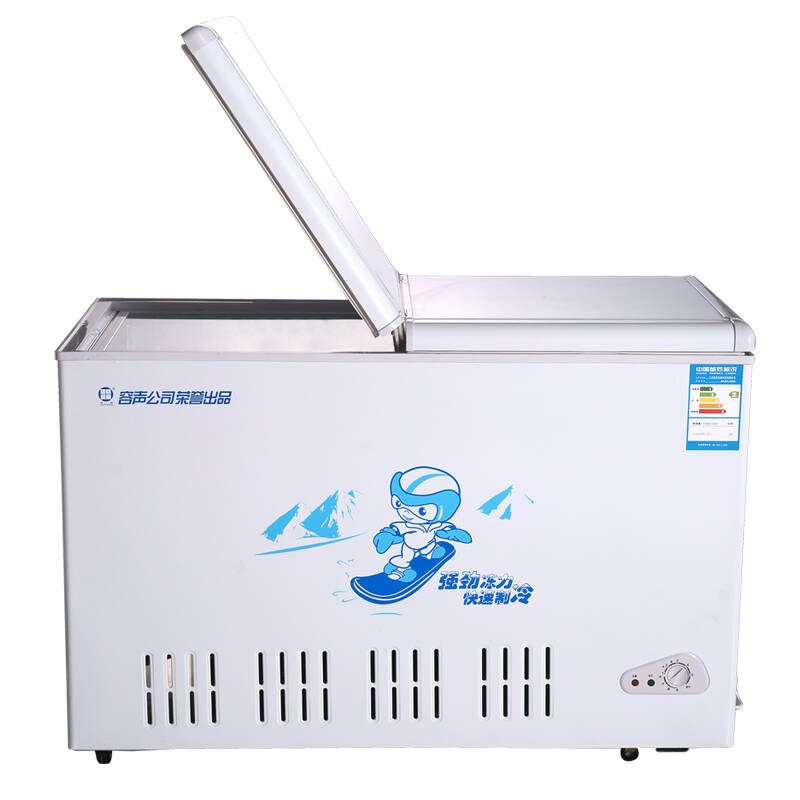 友田(youtian)bd/bc-288h冷藏冷冻转换柜冰柜 冷柜