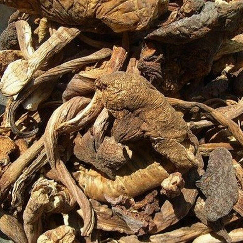 云南特产 云南天齐鸡棕菌160g