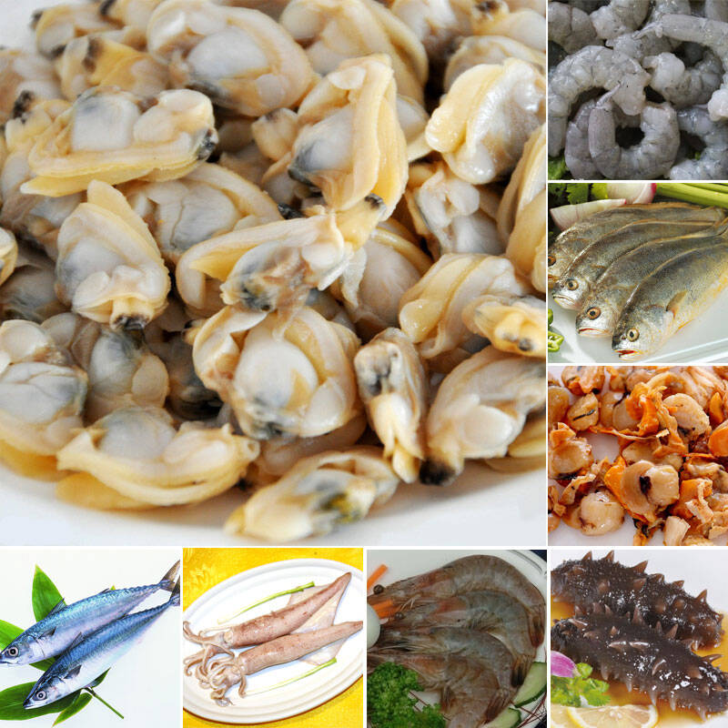 棒棰岛 海八鲜冻品礼包b款 八款海鲜