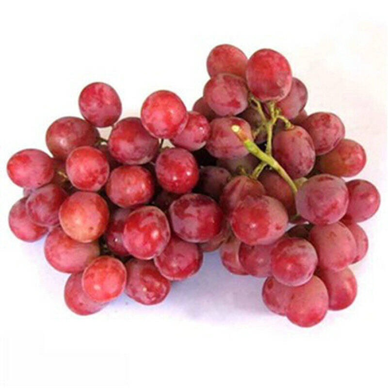 膳美 进口红提/进口葡萄/1.5kg/箱仅江浙沪皖地区配送