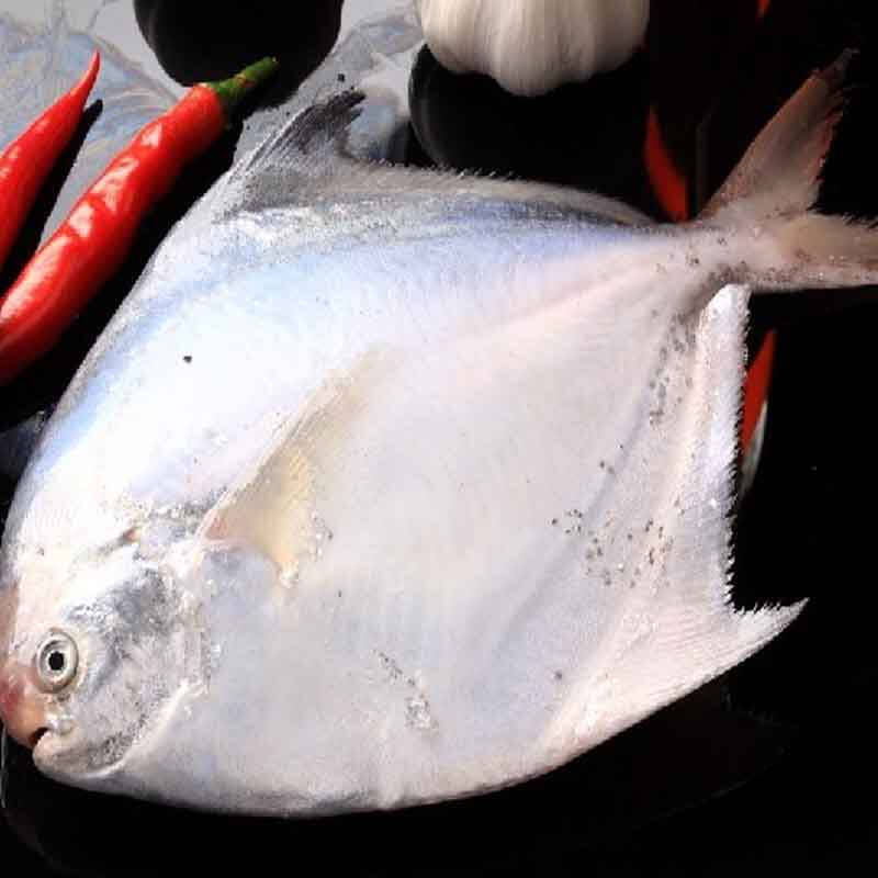 鲜码头 冰鲜舟山平鱼300g