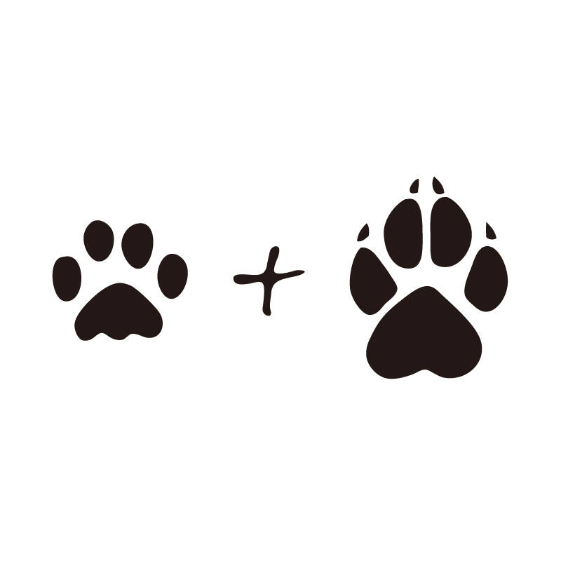 skinat 个性车贴 熊爪