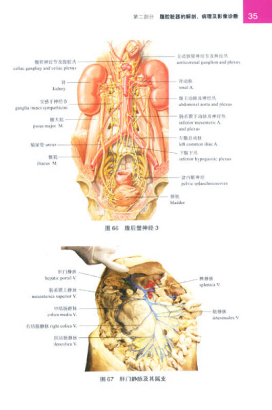 腹部外科手術解剖彩色圖譜