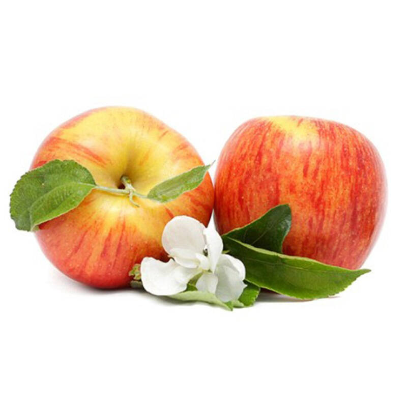 珍享 智利进口加力果 嘎啦苹果姬娜果(单果重约160g)6个装