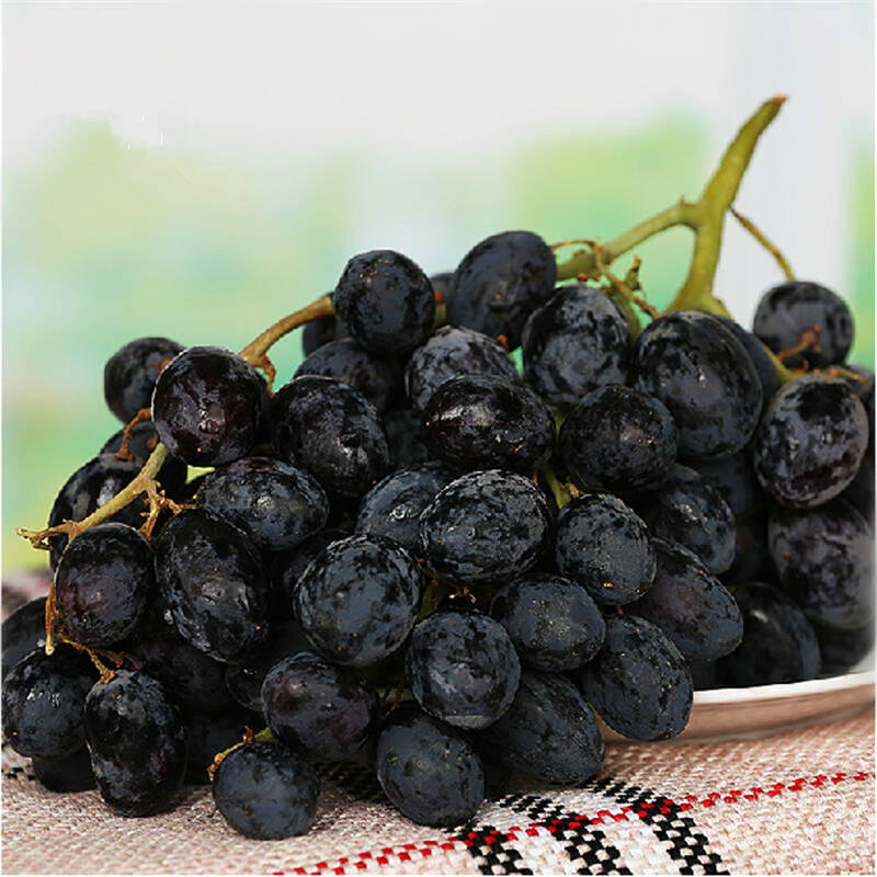 聚享优果 智利进口黑提4斤装 进口黑加仑葡萄 新鲜水果全国顺丰包邮