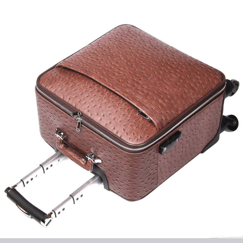 cose拉杆箱pu鸵鸟纹时尚万向轮旅行箱 男女登机箱16寸 棕色16寸