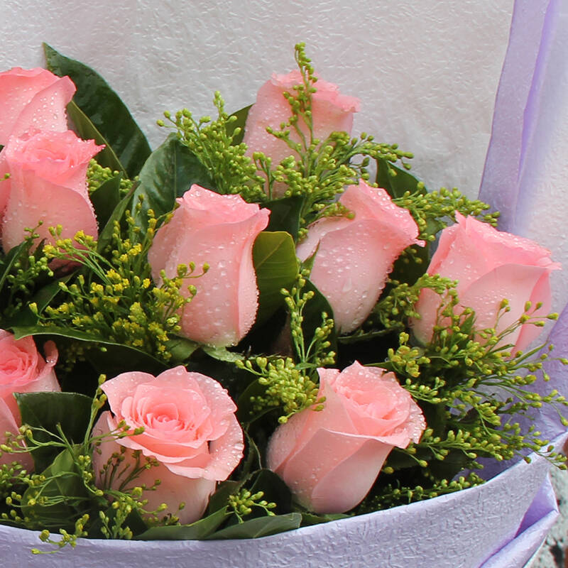 广东送花 深圳送花 北京花店 上海送花 同城送花 11朵粉玫瑰-淡淡的歌