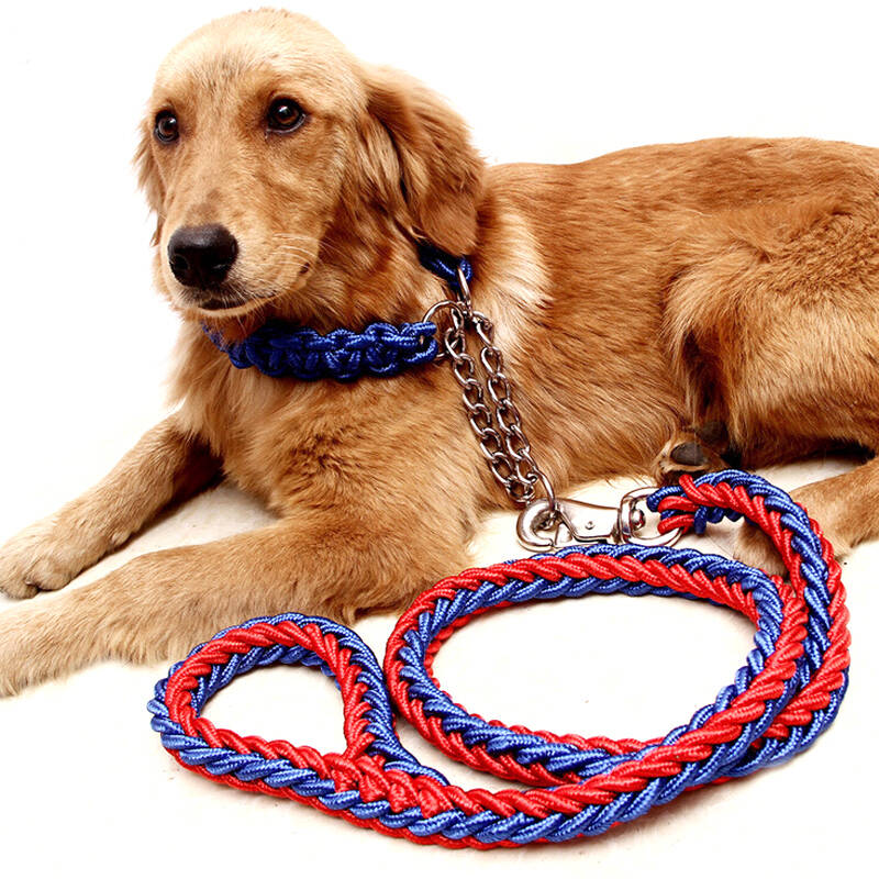 狗狗用品宠物牵引绳 中大型犬狗链 金毛萨摩德牧阿拉斯加哈士奇 大狗