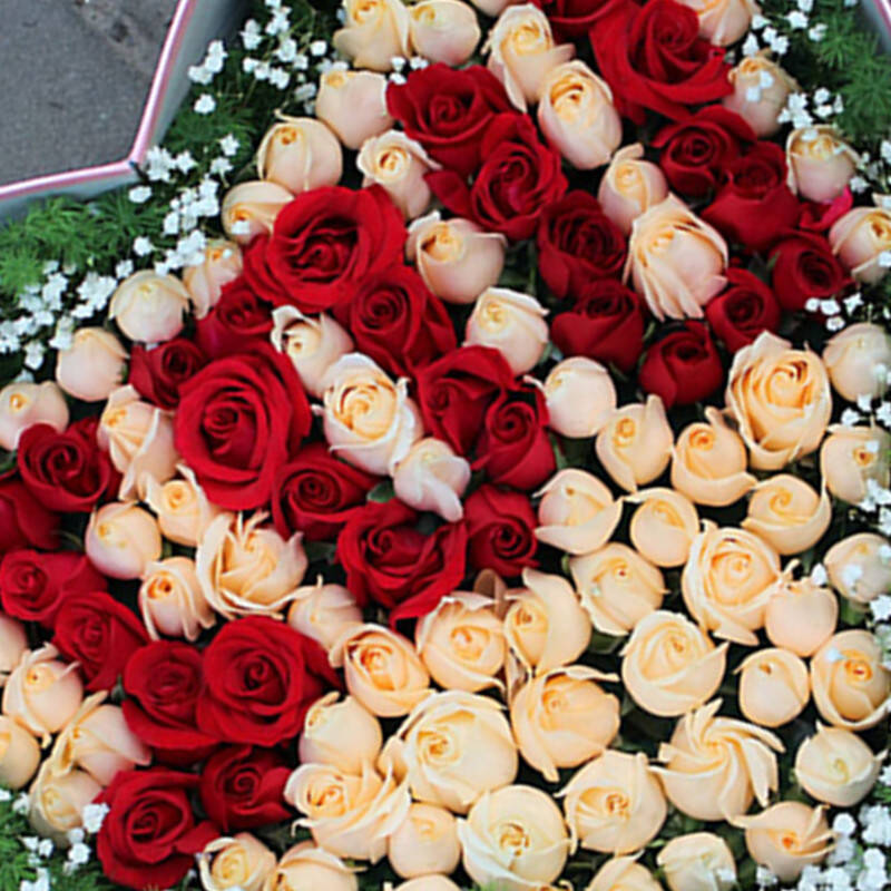 鲜花绿植 鲜花速递 红梅 香槟108心形礼盒05款