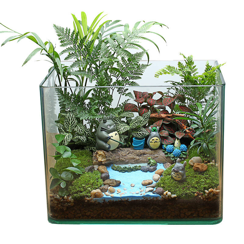 苔藓微景观生态瓶diy办公室创意盆栽迷你植物龙猫摆件男生生日礼物