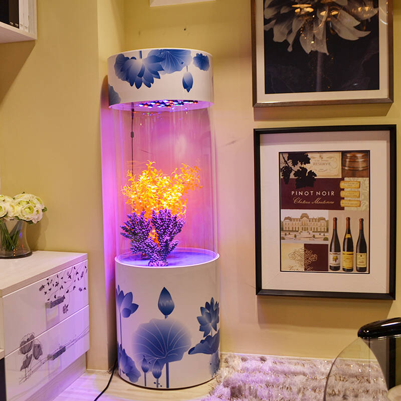 vision/完胜 亚克力水族箱鱼缸 圆柱免换水生态金鱼缸 中国风彩色鱼缸