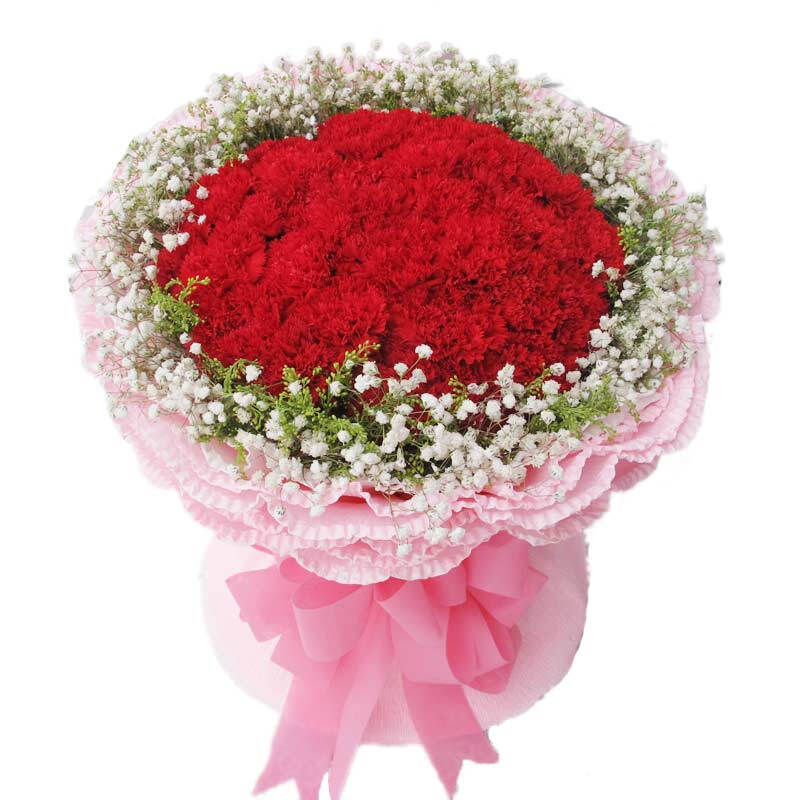 idy 情人节鲜花速递同城 全国深圳花店配送上门 生日礼物33朵红康乃馨