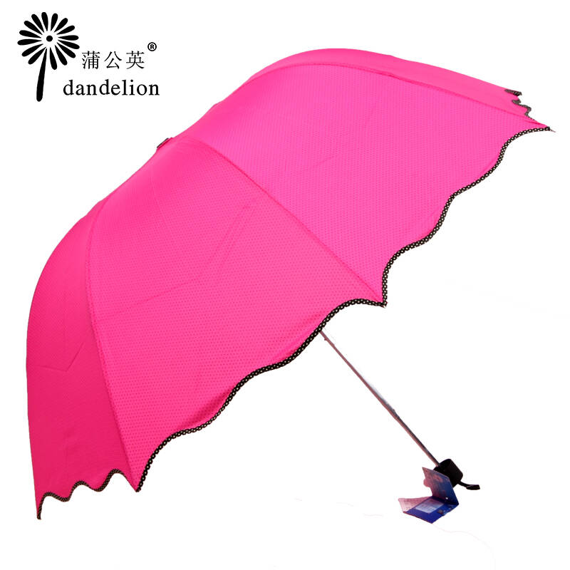 蒲公英雨伞女糖果色波点太阳伞荷叶边不锈钢遮
