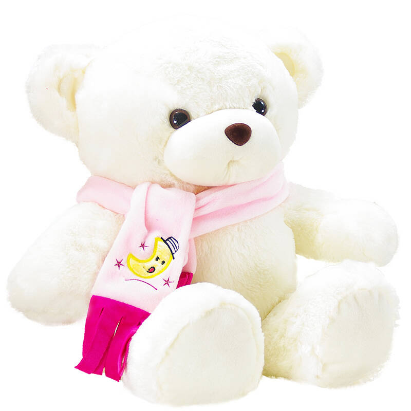 dmsky毛绒玩具熊 泰迪熊 布娃娃 生日礼物女 玩偶 抱抱熊公仔 围巾熊