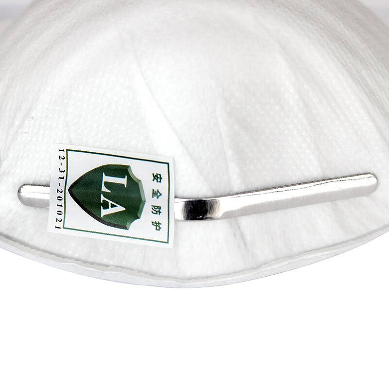 口罩 kn95 头戴式防细小颗粒物 防尘男女骑行h801 (30只装)