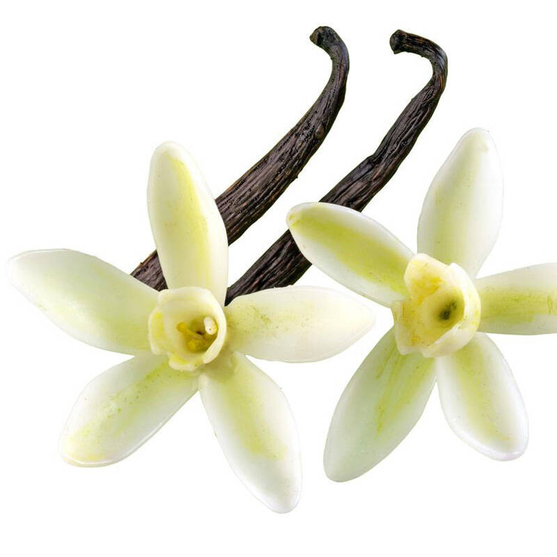 奥地利原装进口 可达怡波旁香草条调料香料 香草荚 调味品 2.5克