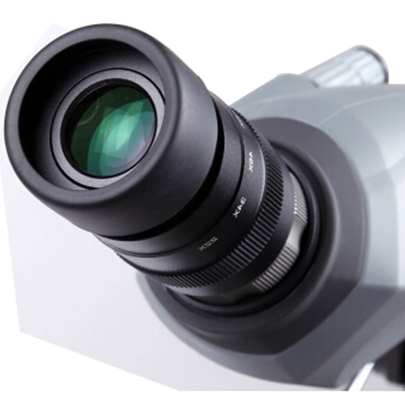 美国celestron星特朗观鸟镜22-67x100 ed观鸟镜