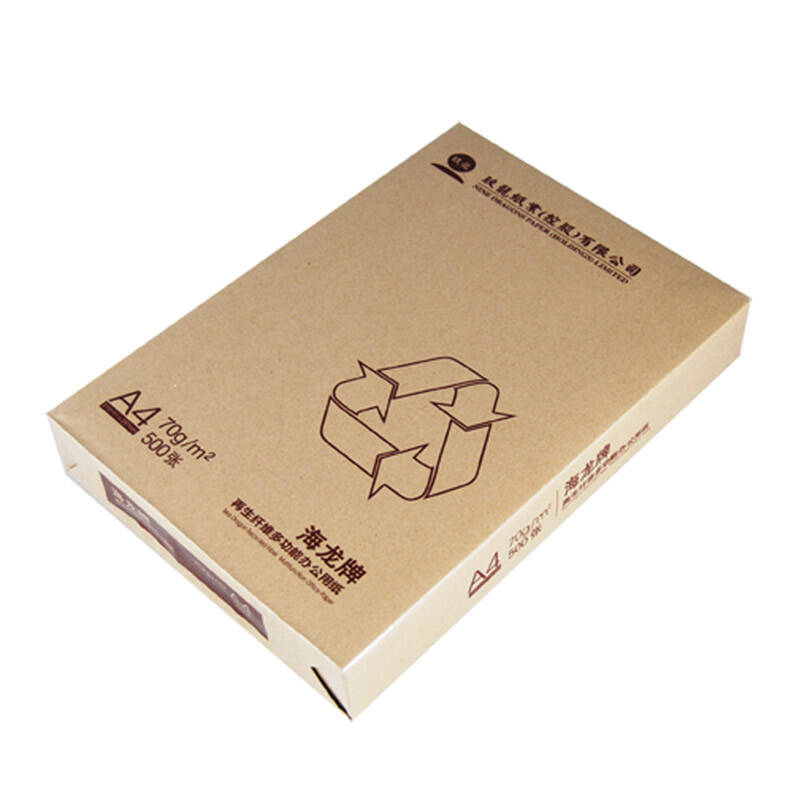 海龙环保办公用纸复印纸打印纸5包/箱 海龙70ga4一包500张