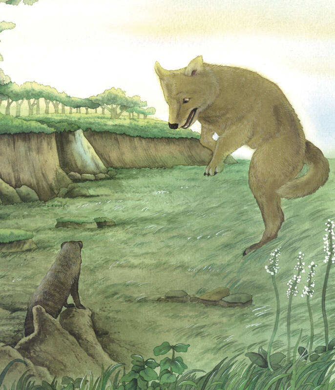 西顿动物故事经典(注音 彩色 美绘版 套装共5册)