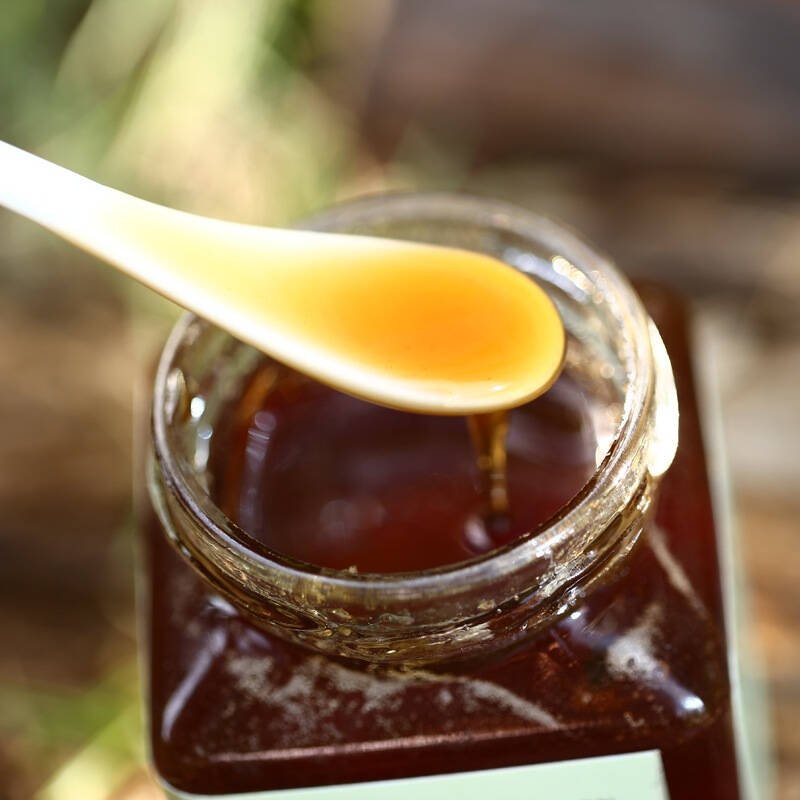 马来西亚进口蜂蜜 婆罗皇(rajaborneo)觅蜜马占相思树百香果蜜(四角瓶