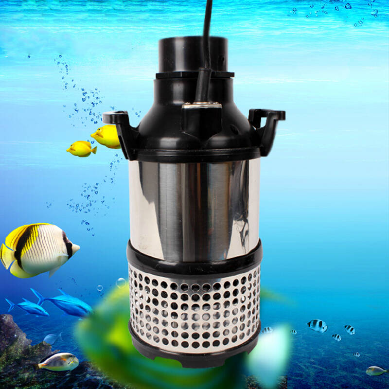 佳宝jebo 池塘鱼池大流量水泵循环泵不锈钢抽水泵 hps系列 hps-30000