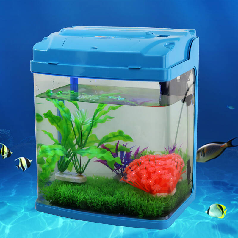 生态玻璃鱼缸 水族箱 30cm 观赏鱼水族箱 鱼缸 其他 黑色 