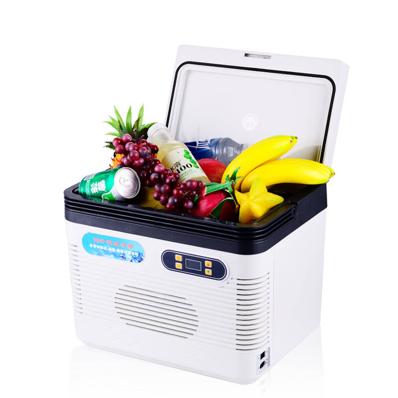 锐康 车载冰箱车家两用便携式微型迷你汽车胰岛素小冰箱18l 单制冷 车