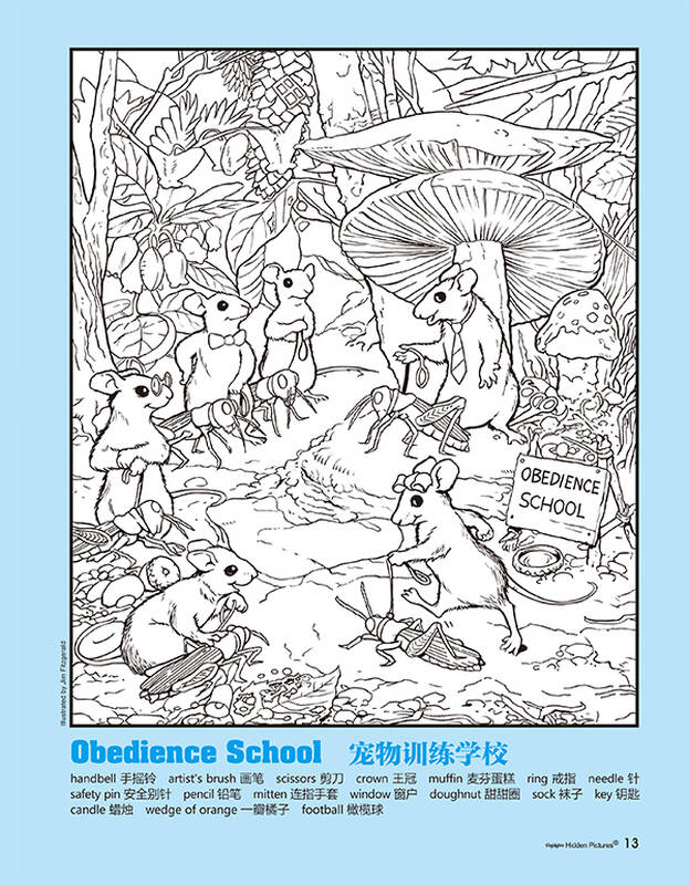 巅峰挑战版图画捉迷藏(套装全4册)