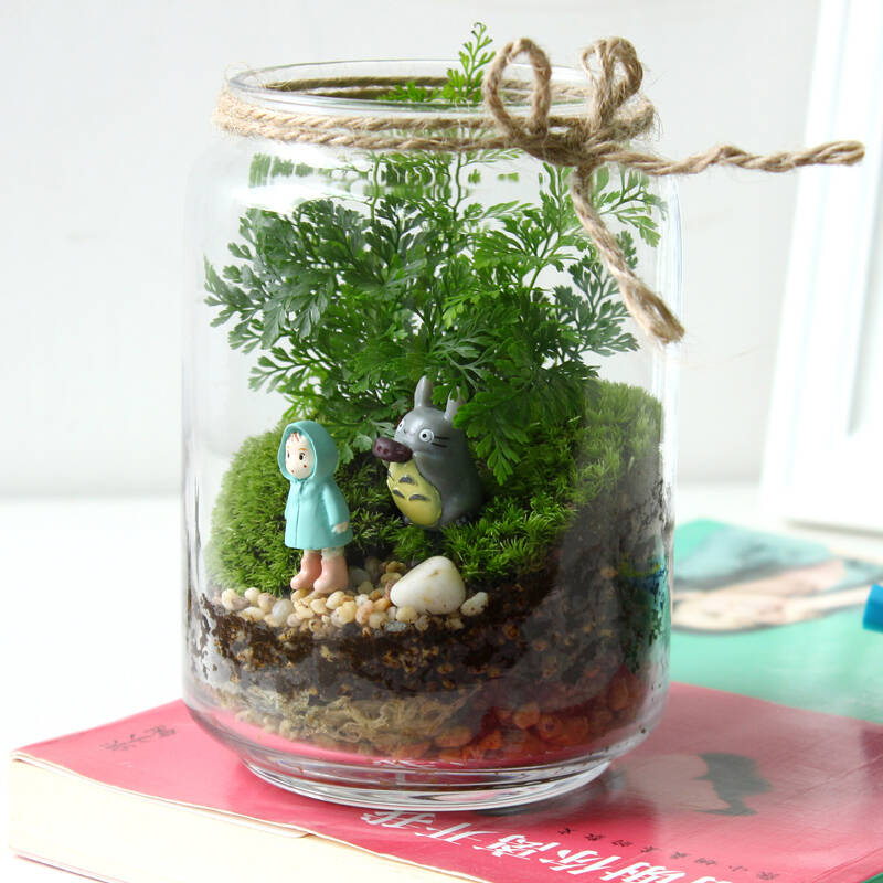 苔藓微景观生态瓶 创意办公室diy植物迷你龙猫盆栽摆件新奇礼物 恋夏