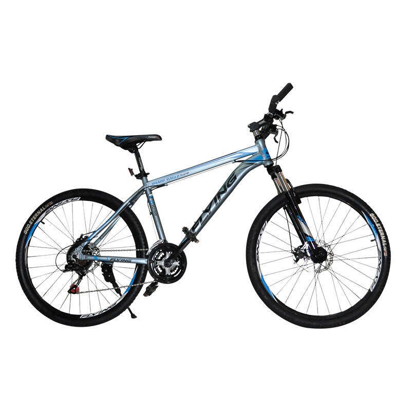 追风鸟自行车21变速铝合金架双碟刹shimano 26寸山地车 520(高配)消光