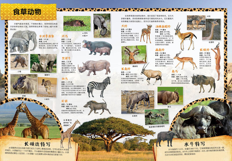 海豚科学馆:动物王国科普贴纸书(套装全5册)